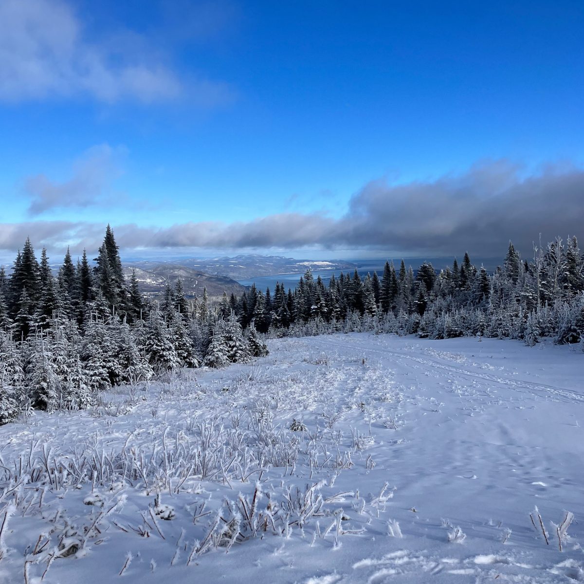 L&rsquo;hiver